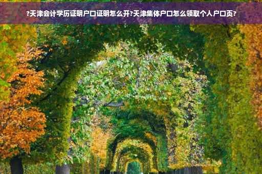 ?天津会计学历证明户口证明怎么开?天津集体户口怎么领取个人户口页?