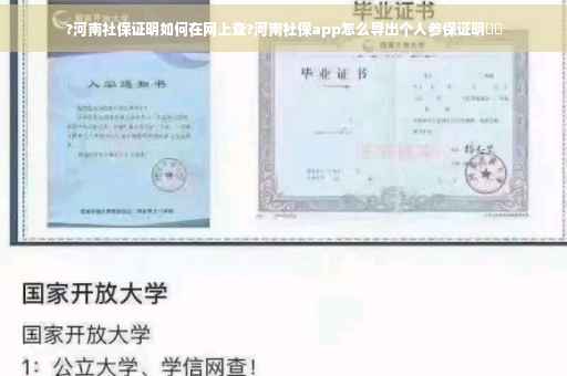 ?河南社保证明如何在网上查?河南社保app怎么导出个人参保证明⚡️