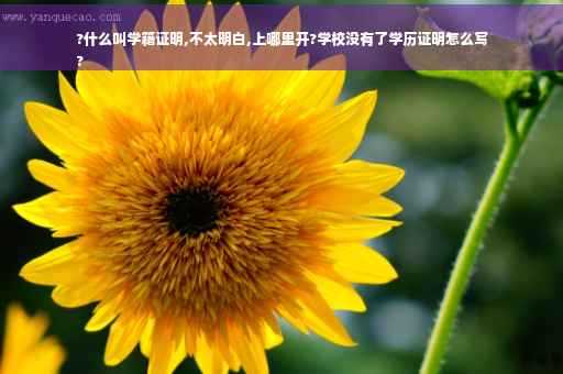 ?什么叫学籍证明,不太明白,上哪里开?学校没有了学历证明怎么写
? ?什么叫学籍证明,不太明白,上哪里开?学校没有了学历证明怎么写
?