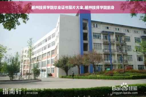 兰州本轮疫情8月8号可以去上班了吗,西固区单位工作证明