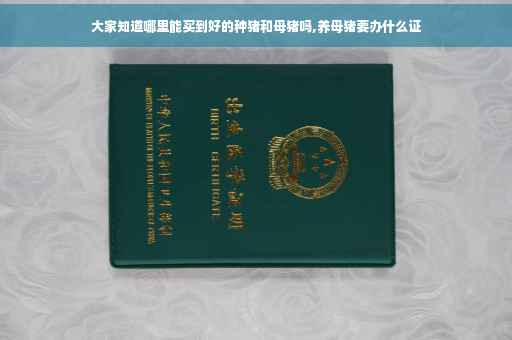 大家知道哪里能买到好的种猪和母猪吗,养母猪要办什么证