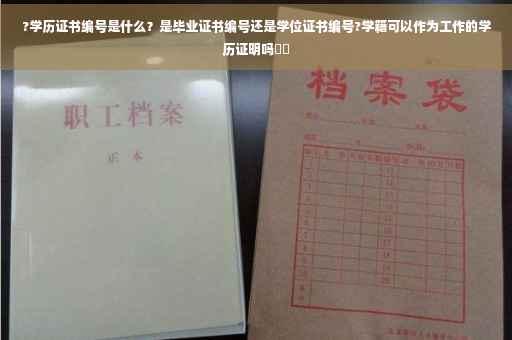 ?学历证书编号是什么？是毕业证书编号还是学位证书编号?学籍可以作为工作的学历证明吗⚡️