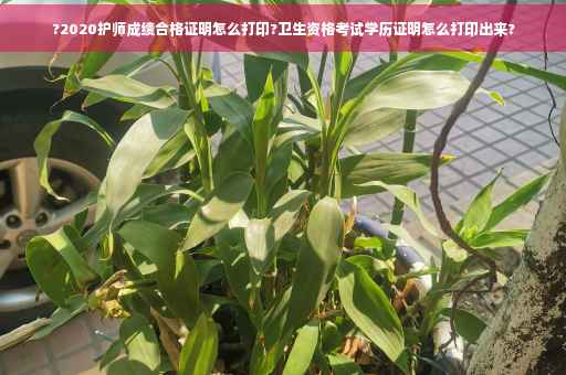 ?2020护师成绩合格证明怎么打印?卫生资格考试学历证明怎么打印出来?