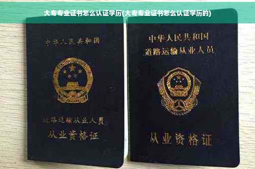 大专专业证书怎么认证学历(大专专业证书怎么认证学历的)