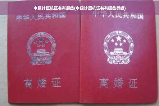 中级计算机证书有哪些(中级计算机证书有哪些等级)