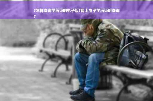 ?怎样查询学历证明电子版?网上电子学历证明查询
?