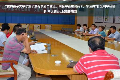 ?我的孩子大学毕业了没有拿到毕业证，现在学籍也没有了，怎么办?什么叫学籍证明,不太明白,上哪里开⚡️