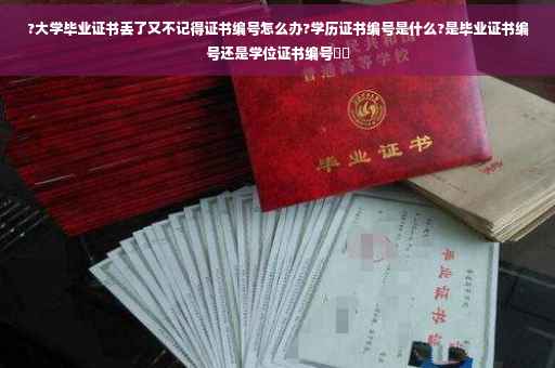 ?大学毕业证书丢了又不记得证书编号怎么办?学历证书编号是什么?是毕业证书编号还是学位证书编号⚡️