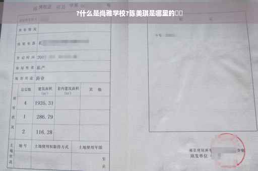 ?什么是尚雅学校?陈美琪是哪里的⚡️