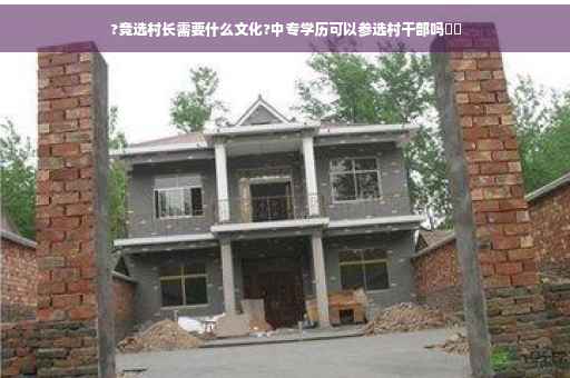 ?竞选村长需要什么文化?中专学历可以参选村干部吗⚡️