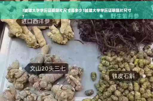 ?城建大学学历证明图片尺寸是多少?城建大学学历证明图片尺寸
?