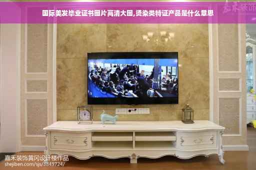 国际美发毕业证书图片高清大图,烫染类特证产品是什么意思