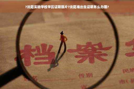 ?沈阳实验学校学历证明图片?沈阳准出生证明怎么办理?
