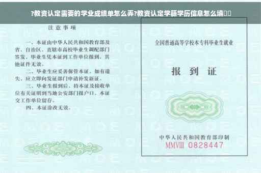 ?教资认定需要的学业成绩单怎么弄?教资认定学籍学历信息怎么填⚡️