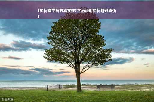 ?如何查学历的真实性?学历证明如何辨别真伪
?