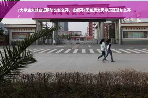 ?大学生未就业证明怎么怎么开，去哪开?无纸质文凭学历证明怎么开
?