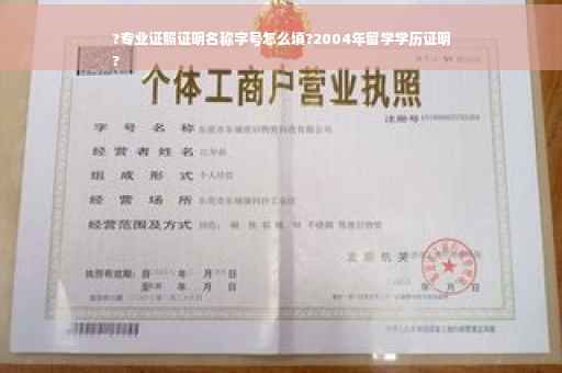 ?专业证照证明名称字号怎么填?2004年留学学历证明
?