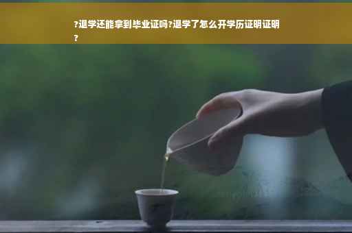 ?退学还能拿到毕业证吗?退学了怎么开学历证明证明
?