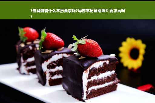 ?当导游有什么学历要求吗?导游学历证明照片要求高吗
?