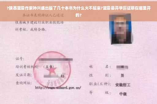 ?陕西蓝田作家孙兴盛出版了几十本书为什么火不起来?蓝田县开学历证明在哪里开的?
