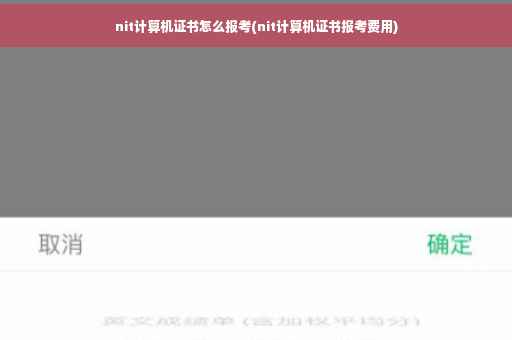 nit计算机证书怎么报考(nit计算机证书报考费用)