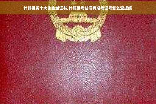 计算机类十大含金量证书,计算机考试没有准考证号怎么查成绩