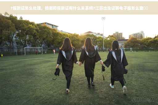?报到证怎么处理，档案和报到证有什么关系吗?江苏出生证明电子版怎么查⚡️