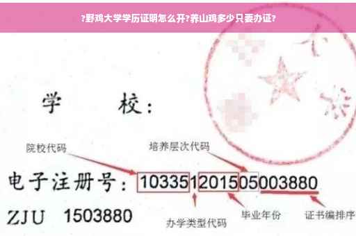 ?野鸡大学学历证明怎么开?养山鸡多少只要办证?