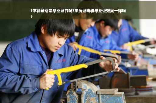 ?学籍证明是毕业证书吗?学历证明和毕业证效果一样吗
?