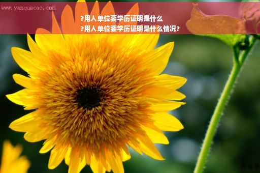 ?用人单位要学历证明是什么
?用人单位要学历证明是什么情况?
