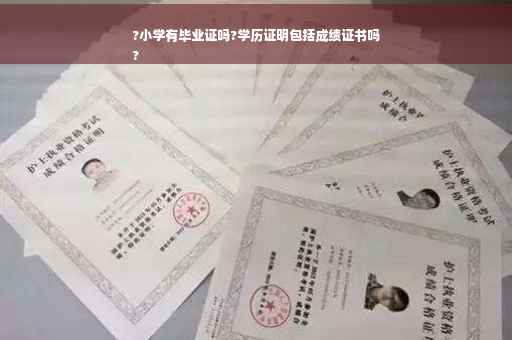 ?小学有毕业证吗?学历证明包括成绩证书吗
?