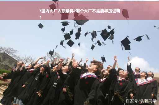 ?国内大厂入职条件?哪个大厂不需要学历证明
?
