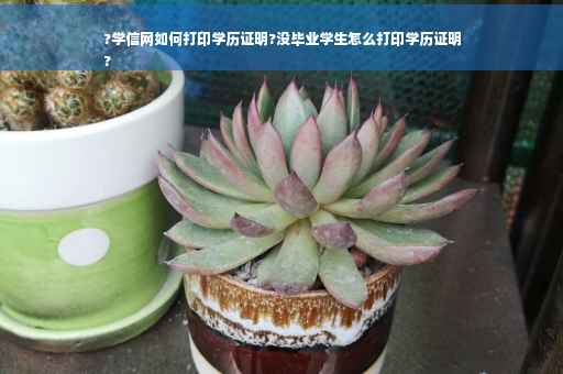 ?学信网如何打印学历证明?没毕业学生怎么打印学历证明
?
