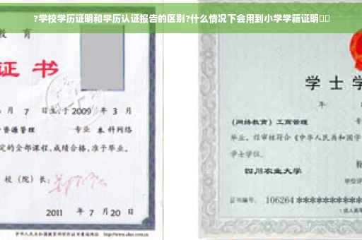 ?学校学历证明和学历认证报告的区别?什么情况下会用到小学学籍证明⚡️