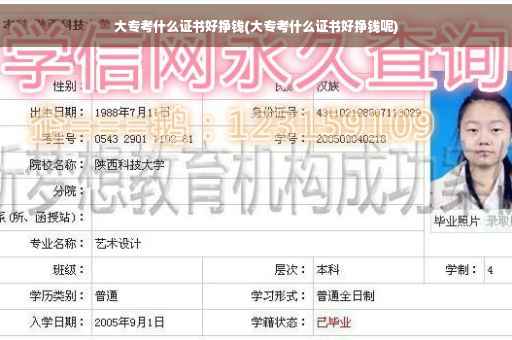 大专考什么证书好挣钱(大专考什么证书好挣钱呢)