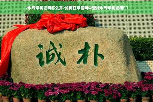 ?中专学历证明怎么开?如何在学信网中查找中专学历证明⚡️