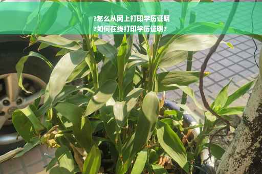 ?怎么从网上打印学历证明
?如何在线打印学历证明?