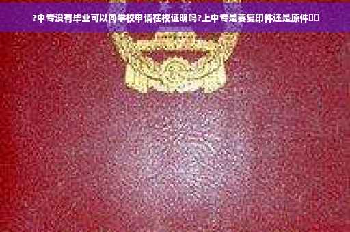 ?中专没有毕业可以向学校申请在校证明吗?上中专是要复印件还是原件⚡️
