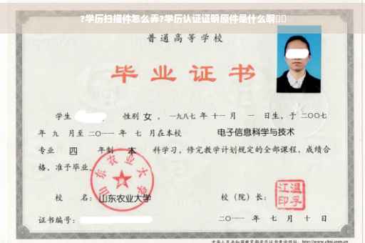 ?学历扫描件怎么弄?学历认证证明原件是什么啊⚡️