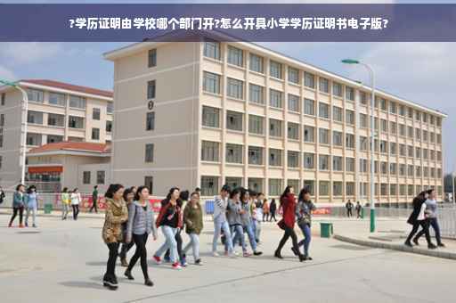 ?学历证明由学校哪个部门开?怎么开具小学学历证明书电子版?