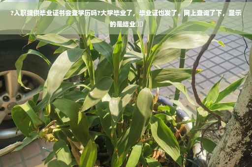 ?入职提供毕业证书会查学历吗?大学毕业了，毕业证也发了。网上查询了下，显示的是结业⚡️