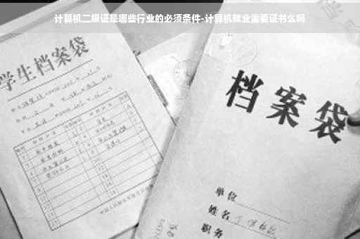 计算机二级证是哪些行业的必须条件-计算机就业需要证书么吗
