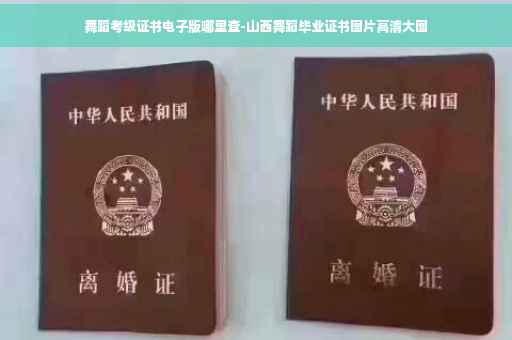 舞蹈考级证书电子版哪里查-山西舞蹈毕业证书图片高清大图