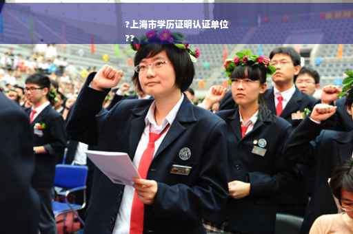 ?上海市学历证明认证单位
??