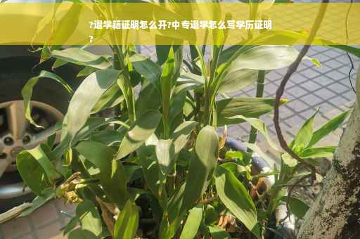 ?退学籍证明怎么开?中专退学怎么写学历证明
?