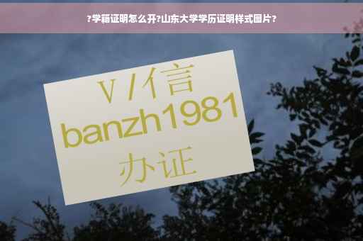 ?学籍证明怎么开?山东大学学历证明样式图片?