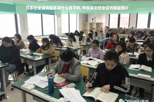 日本毕业证书样本是什么样子的,学校英文毕业证书模板图片