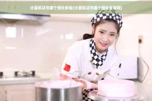 计算机证书哪个用处多些(计算机证书哪个用处多些啊)