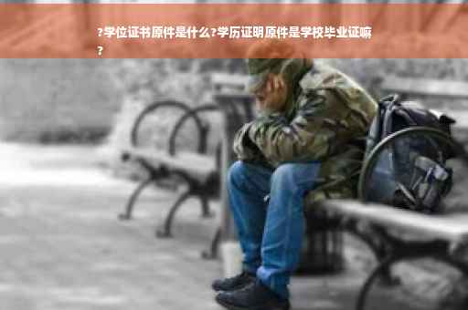 ?学位证书原件是什么?学历证明原件是学校毕业证嘛
?