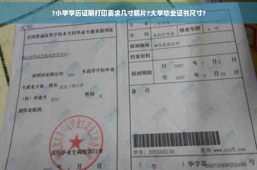?小学学历证明打印要求几寸照片?大学毕业证书尺寸?